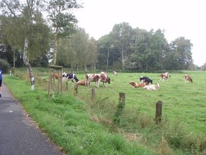 RTF Barsbuettel 134